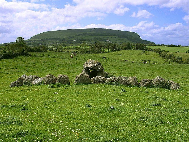 LA COUR DE JUSTICE DE L'UE CONDAMNE L'IRLANDE POUR NON-RESPECT DE LA LÉGISLATION SUR LA PROTECTION DE LA NATURE