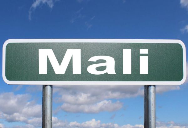 LE MALI REPORTE L'ÉLECTION PRÉSIDENTIELLE DE FÉVRIER