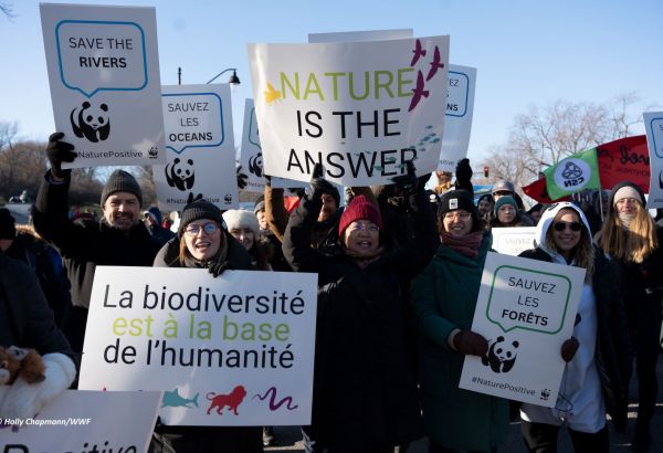 L'EUROPE ADOPTE UN ACCORD HISTORIQUE SUR LA NATURE ET LE CLIMAT À L'ISSUE DE NÉGOCIATIONS TENDUES