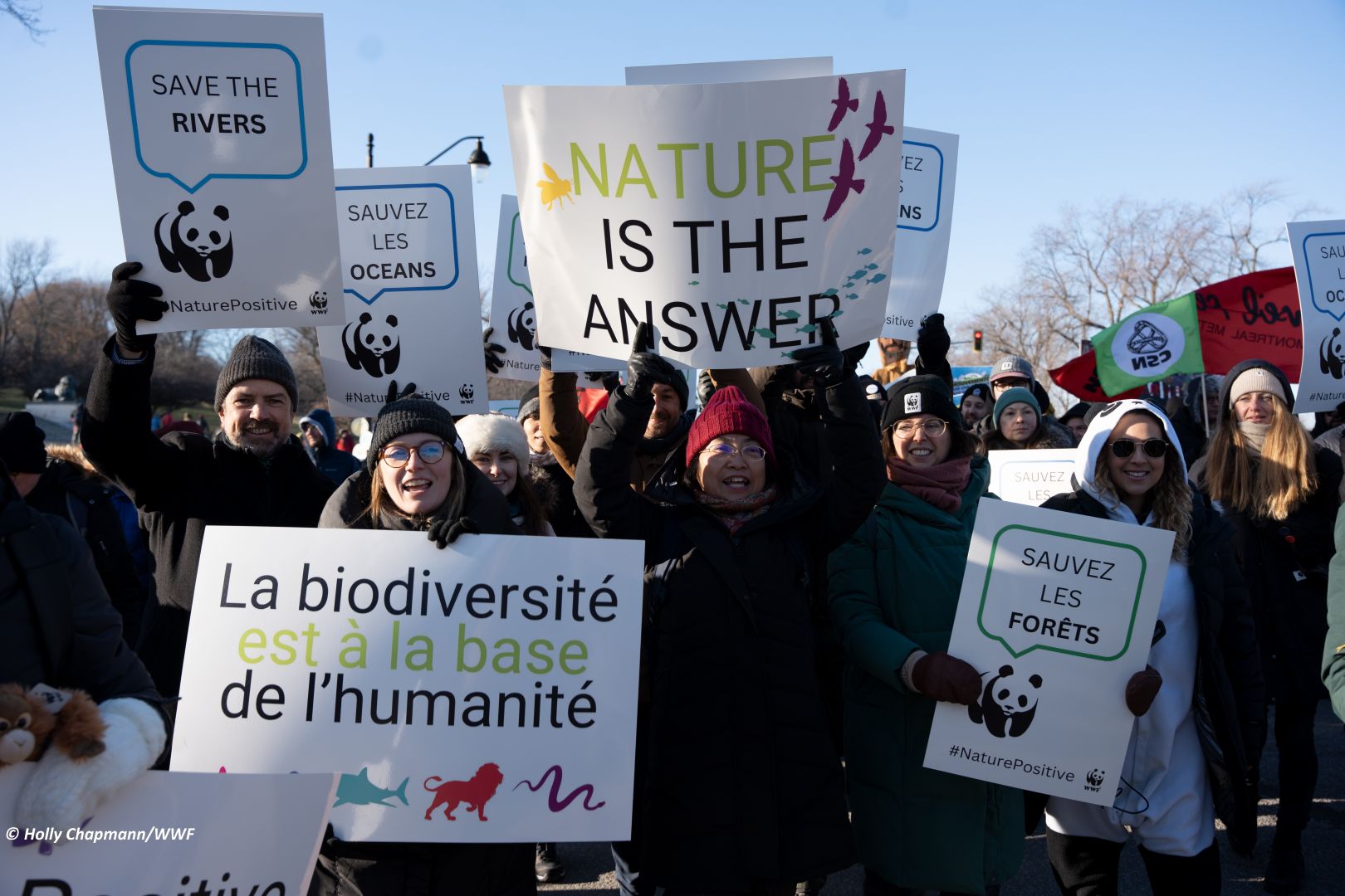 L'EUROPE ADOPTE UN ACCORD HISTORIQUE SUR LA NATURE ET LE CLIMAT À L'ISSUE DE NÉGOCIATIONS TENDUES