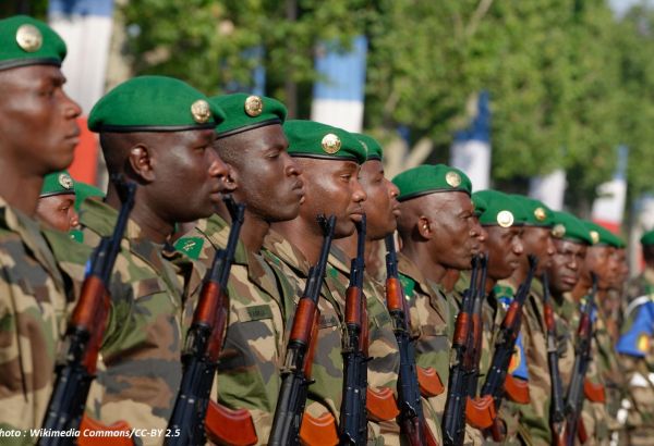 LE MALI EXPULSE L'AMBASSADRICE DE SUÈDE