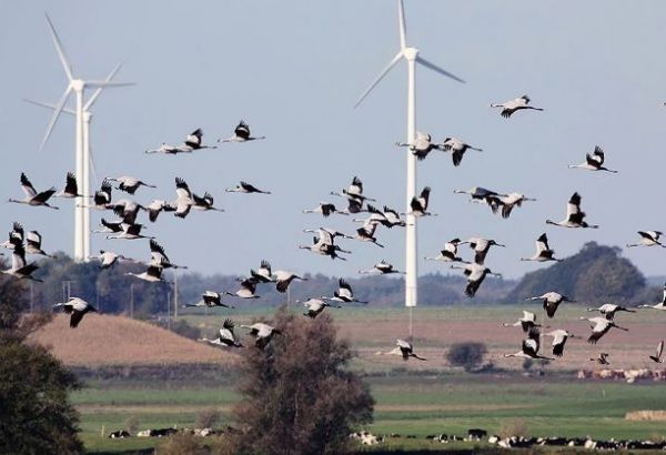 LES VENTES MONDIALES DE TURBINES ÉOLIENNES MONTENT EN FLÈCHE