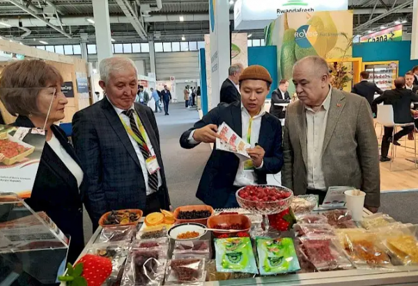 DES ENTREPRISES KIRGHIZES PRÉSENTENT LEURS PRODUITS AU SALON FRUIT LOGISTICA À BERLIN