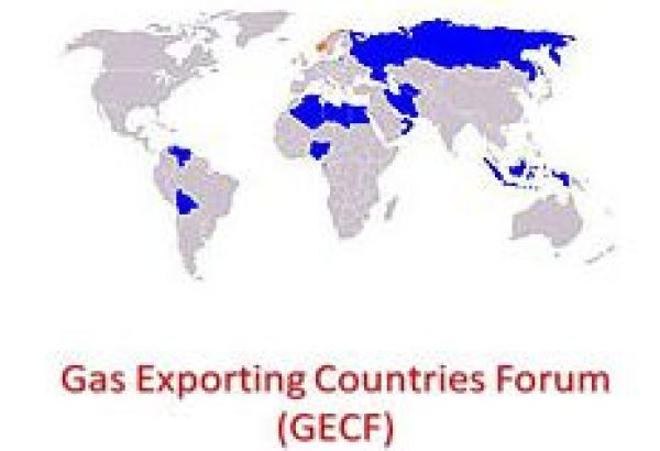 L'AZERBAÏDJAN PARTICIPERA AU SOMMET DU GECF EN ALGÉRIE