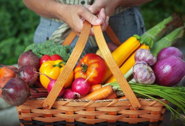 LES PRIX DES DENRÉES ALIMENTAIRES CHUTENT POUR LE 7ÈME MOIS CONSÉCUTIF EN FÉVRIER, SELON LES DONNÉES STATISTIQUES DE LA FAO