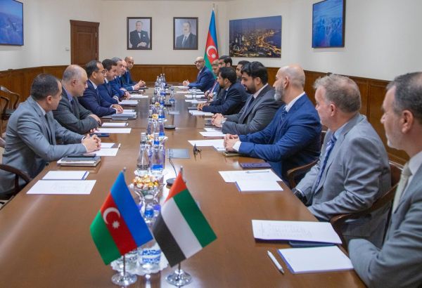 L'AZERBAÏDJAN ET LES ÉMIRATS ARABES UNIS RENFORCENT LEUR COOPÉRATION DANS LE DOMAINE DE L'AVIATION CIVILE EN AMONT DE LA COP29