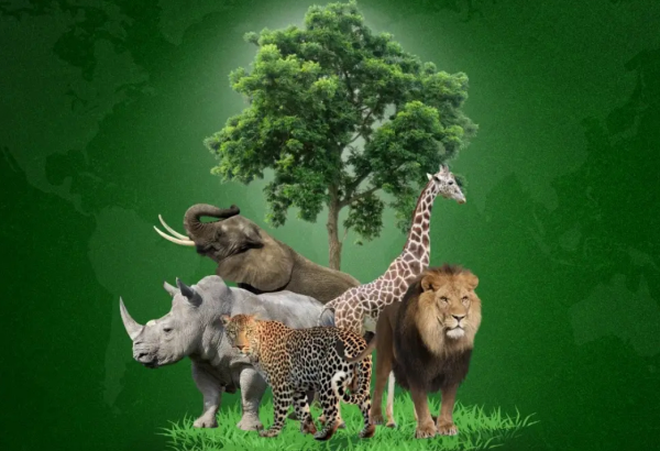 LE RAPPORT "PLANÈTE VIVANTE" 2024 DU WWF SE PENCHE SUR L'ÉTAT CRITIQUE DE LA BIODIVERSITÉ