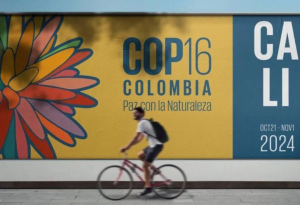 LE KIRGHIZISTAN PARTICIPE À LA 16E CONFÉRENCE DES PARTIES À LA CONVENTION DES NATIONS UNIES SUR LA BIODIVERSITÉ EN COLOMBIE