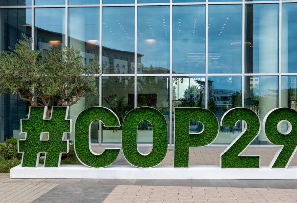 LA COP29 METTRA EN EXERGUE LE RÔLE DES OCÉANS DANS LES SOLUTIONS CLIMATIQUES