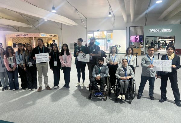 MANIFESTATION CONTRE L'EXPLOITATION MINIÈRE EN EAUX PROFONDES ET LA CHASSE À LA BALEINE EN NORVÈGE ORGANISÉE DANS LE CADRE DE LA COP29