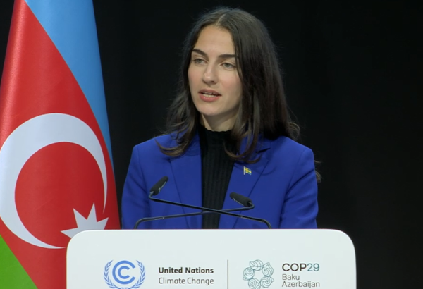 COP29: LA SUÈDE S'ENGAGE À ATTEINDRE LA NEUTRALITÉ CLIMATIQUE D'ICI 2045