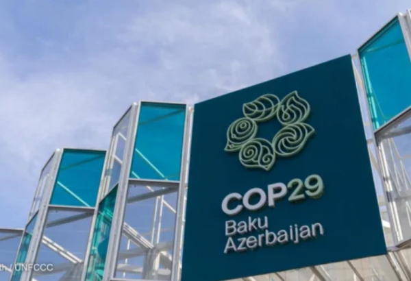 LES ACCORDS CONCLUS LORS DE LA COP29 RENFORCENT LE CADRE DES MARCHÉS DU CARBONE
