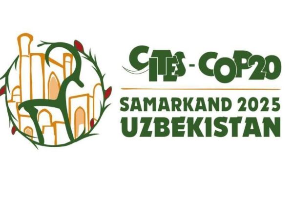 LE LOGO DE LA COP20 S'APPUIE SUR LE PATRIMOINE NATUREL ET CULTUREL DE L'OUZBÉKISTAN