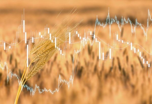 BAISSE DES PRIX ALIMENTAIRES MONDIAUX EN JANVIER
