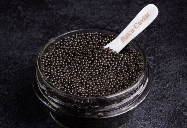 L'AZERBAÏDJAN VISE LE MARCHÉ DE L'UE POUR LES EXPORTATIONS DE CAVIAR NOIR DE QUALITÉ SUPÉRIEURE