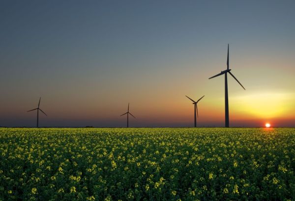 L'UE GÉNÈRE LA MOITIÉ DE SON ÉLECTRICITÉ À PARTIR DE SOURCES D'ÉNERGIE RENOUVELABLES EN 2024