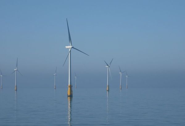 L'ÉNERGIE RENOUVELABLE MONDIALE ATTEINT UN NIVEAU RECORD EN 2024, MAIS RESTE EN DEÇÀ DES OBJECTIFS FIXÉS