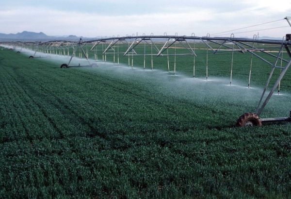 LA BERD ET LA FAO SOUTIENNENT DES SOLUTIONS POUR UNE AGRICULTURE DURABLE AU KIRGHIZSTAN