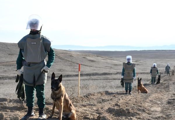 L'AZERBAÏDJAN ÉLIMINE DES DIZAINES DE MILLIERS D'EXPLOSIFS ET DE MINES TERRESTRES DANS SES TERRITOIRES LIBÉRÉS DE L'OCCUPATION ARMÉNIENNE