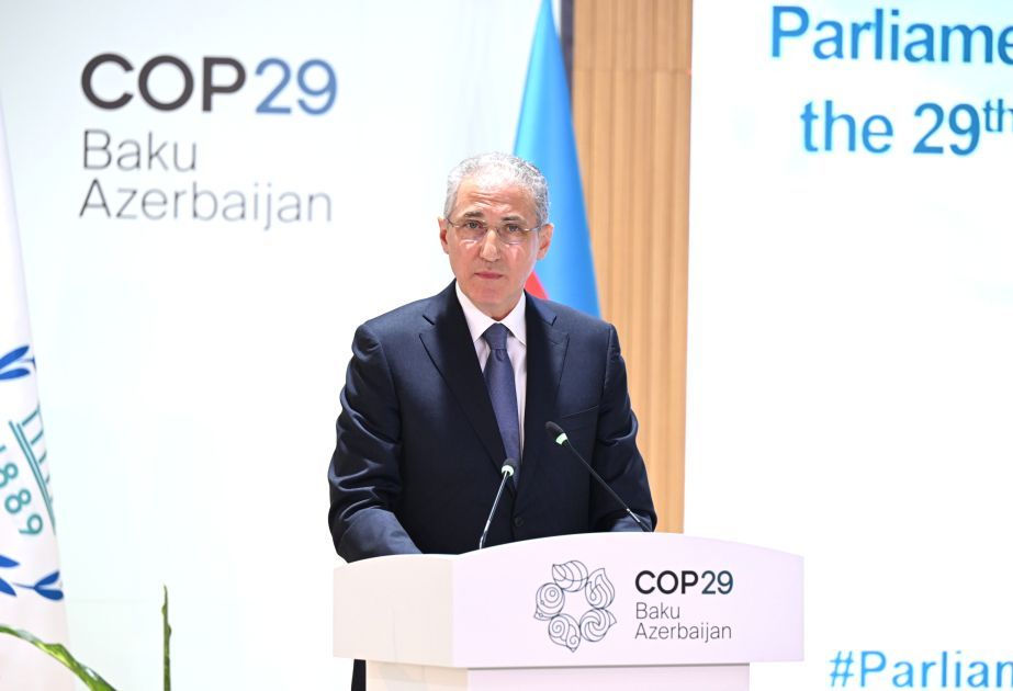 LE PRÉSIDENT DE LA COP29 APPELLE À DES INVESTISSEMENTS VERTS LORS DE LA CONFÉRENCE MINISTÉRIELLE DE COPENHAGUE SUR LE CLIMAT