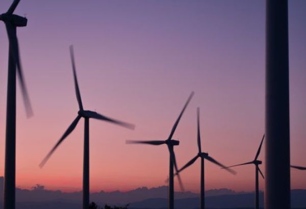 PRÉSIDENT DE LA COP29: L'ACTION EN FAVEUR DU CLIMAT NÉCESSITE DES INVESTISSEMENTS ET UNE PRÉVENTION AU NIVEAU MONDIAL