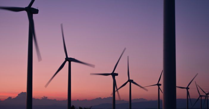 PRÉSIDENT DE LA COP29: L'ACTION EN FAVEUR DU CLIMAT NÉCESSITE DES INVESTISSEMENTS ET UNE PRÉVENTION AU NIVEAU MONDIAL