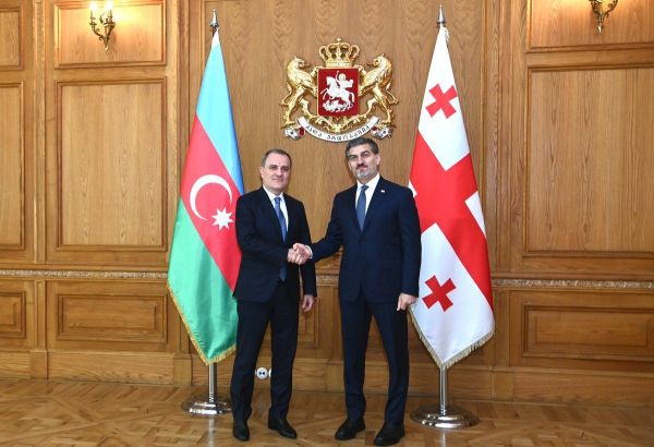 LE MINISTRE AZERBAÏDJANAIS DES AFFAIRES ÉTRANGÈRES RENCONTRE LE PRÉSIDENT GÉORGIEN POUR RENFORCER LE PARTENARIAT STRATÉGIQUE ENTRE LES DEUX PAYS