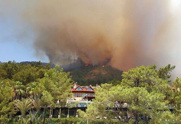 LA TURQUIE MAÎTRISE 55 INCENDIES DE FORÊT, ALORS QU'IN FEU BRÛLE ENCORE À BURSA