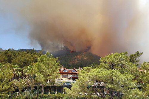 LA TURQUIE MAÎTRISE 55 INCENDIES DE FORÊT, ALORS QU'IN FEU BRÛLE ENCORE À BURSA