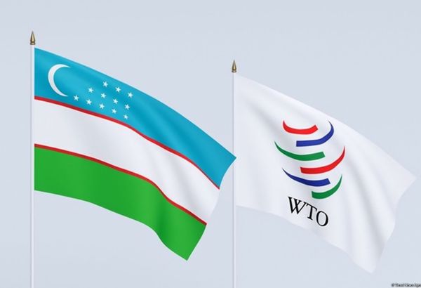 L'OUZBÉKISTAN S'ENGAGE SUR LA VOIE D'UNE ÉCONOMIE DE MARCHÉ OUVERTE