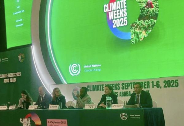 COP29 : UN APPEL POUR ACCÉLÉRER LA MISE EN ŒUVRE DU BUT FINANCIER DE BAKOU DANS L'ADDIS ABEBA