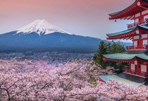 1 700 OUZBEKS ONT VISITÉ LE JAPON EN 7 MOIS
