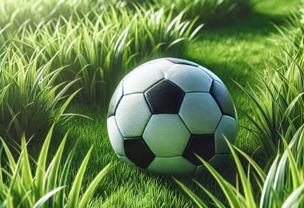 LA COUPE DU MONDE 2034 POURRAIT ÊTRE REPORTÉE À JANVIER