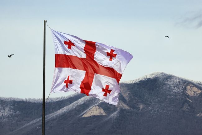 LA GÉORGIE EXPULSE 47 ÉTRANGERS AYANT VIOLÉ LES LOIS MIGRATOIRES