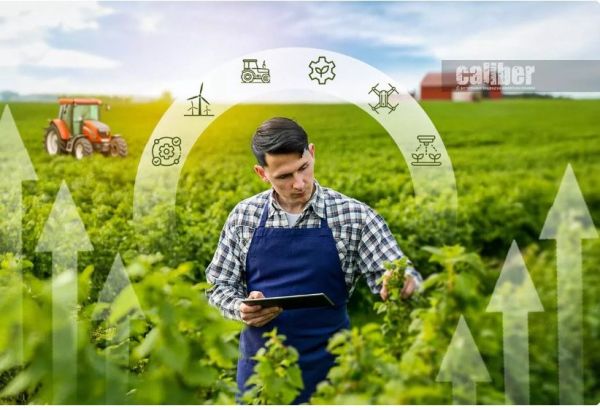 LES EXPLOITATIONS AGRICOLES: DES INVESTISSEMENTS EN MILLIARDS, MAIS QUELLES SONT LES ATTENTES ?