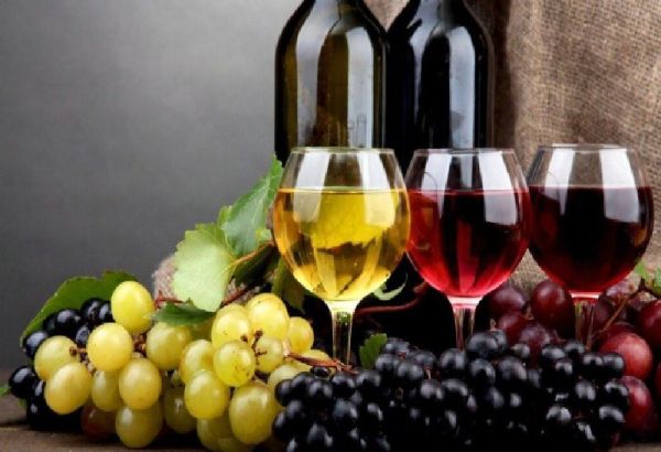 QUELLES SONT LES RAISONS QUI FREINENT LA VITICULTURE EN AZERBAIDJAN?