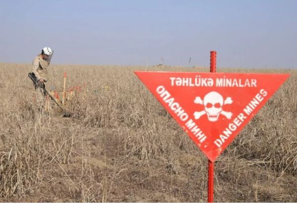 CHANGEMENT DES REGLES RELATIVES AU DEMINAGE A CHOUCHA