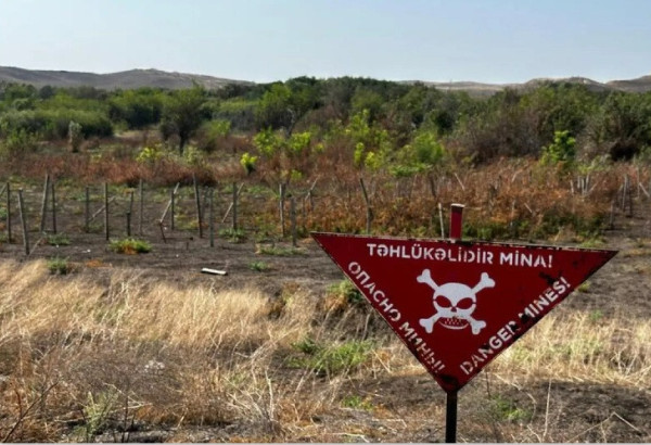 LES CICATRICES DE LA GUERRE SOUS TERRE : LA TRAGEDIE DES MINES ANTI-PERSONNEL AU KARABAGH
