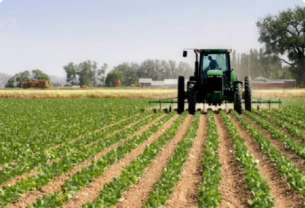 DES AGRICULTEURS DU FERGHANA CONTESTENT DES LOCATIONS DE TERRES SUPPOSEES ETRE ACCORDEES A LA CHINE