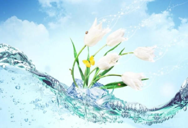 LES QUATRE MARDIS QUI PRECEDENT LA FETE DE NOVROUZ BAYRAM - PARTIE I