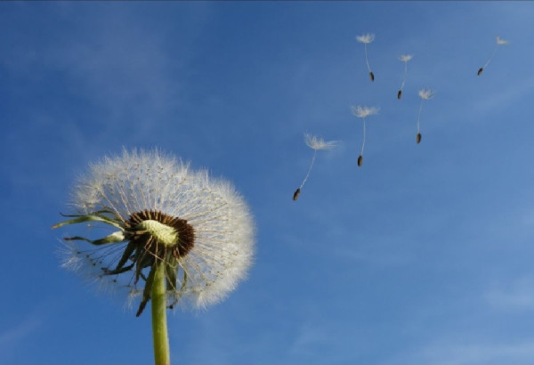 EN CHEMIN VERS "NOVROUZ": LA FETE DU "MARDI DU VENT"