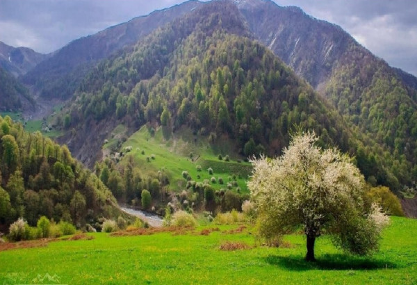 L'INSTITUT DE BOTANIQUE PUBLIERA UN OUVRAGE SUR LA TRES RICHE FLORE AZERBAIDJANAISE