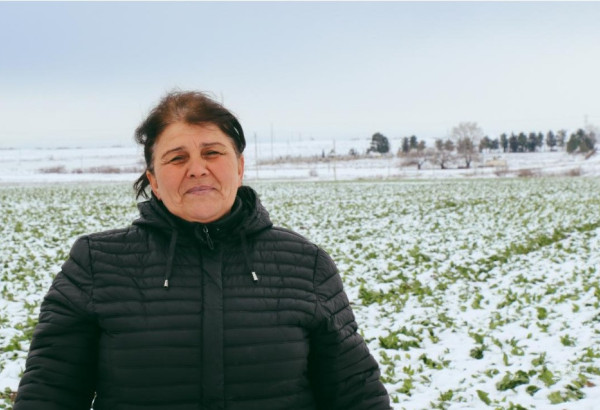LE NOMBRE DE FEMMES AGRICULTRICES EN AZERBAIDJAN A ETE REVELE