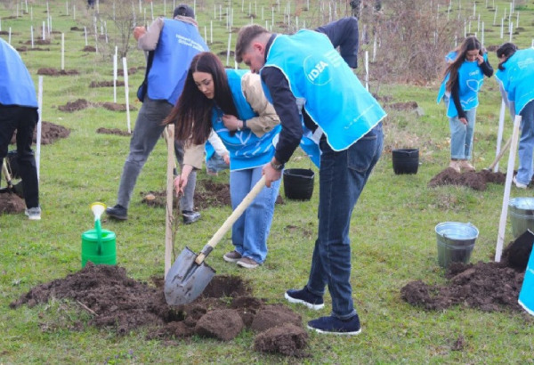 PLUS DE 6500 ARBRES PLANTES DANS LE DISTRICT DE GUEDABEY, EN AZERBAIDJAN
