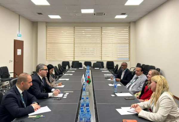 L’AZERBAÏDJAN PREVOIT L’ORGANISATION D’UN FORUM D’AFFAIRES AVEC DES ENTREPRENEURS AFRICAINS