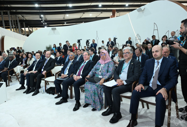 WUF13 : LES PAYS DU D-8 DEBATTENT DES VILLES DURABLES ET DE LA TRANSITION ENERGETIQUE A BAKOU