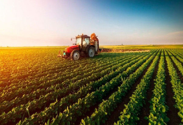 L'AZERBAIDJAN REVISE LA PROCEDURE DE SUBVENTION DE LA PRODUCTION AGRICOLE