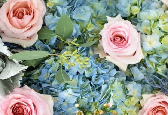 LA RUSSIE SOUPÇONNE UNE CONTREBANDE DE FLEURS ARMÉNIENNES VIA L’IRAN