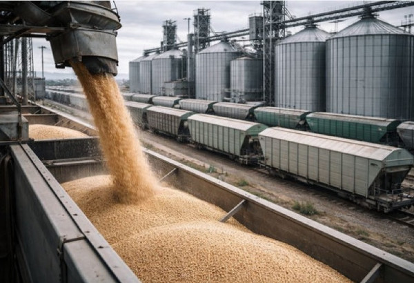SITUATION INCERTAINE SUR LE MARCHÉ MONDIAL DES CÉRÉALES. EN AZERBAÏDJAN AUSSI.