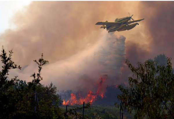 INCENDIES EN FRANCE : COMBIEN D'HECTARES ONT BRÛLÉ JUSQU'À PRÉSENT ?